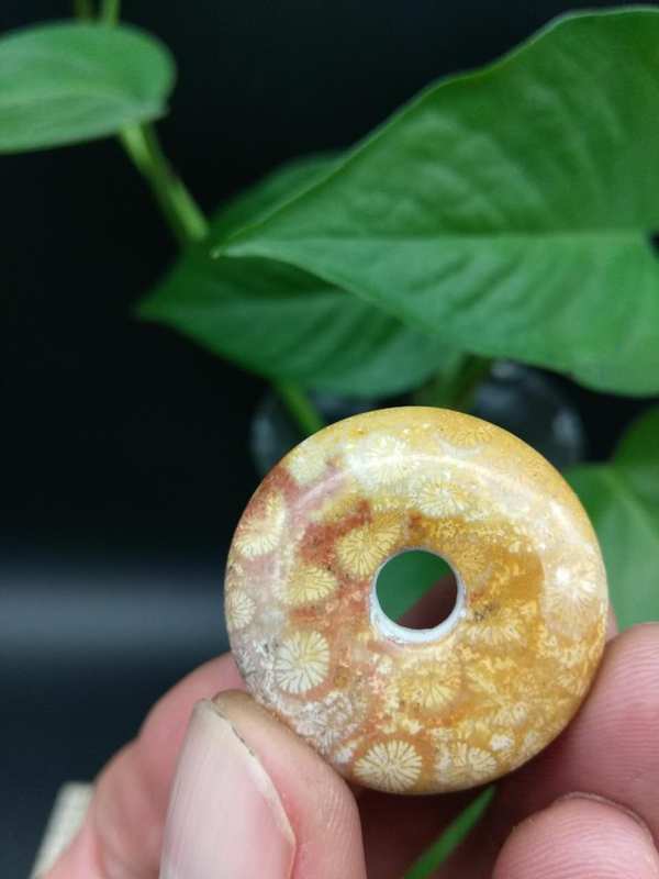 藏品展示台湾天然珊瑚玉菊花石 平安扣  可做diy吊坠