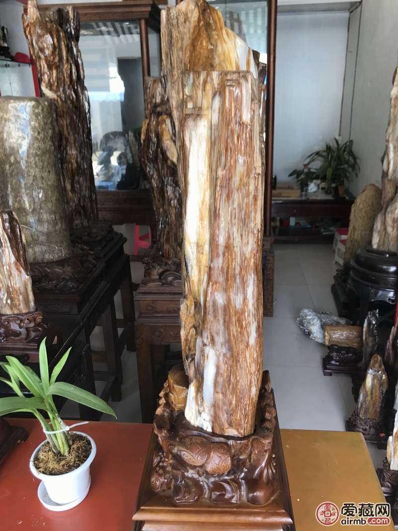 缅甸树化玉摆件,尺寸如图,重2