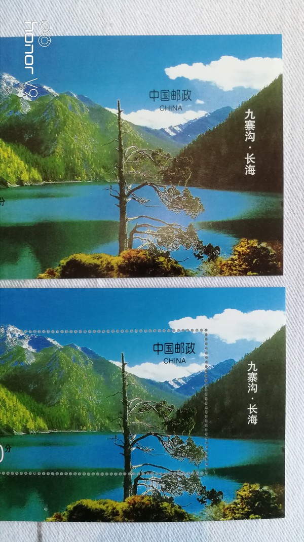珍邮,错邮1998一6九寨沟无齿小型张真假_图片_价格_评级-邮票-爱藏网