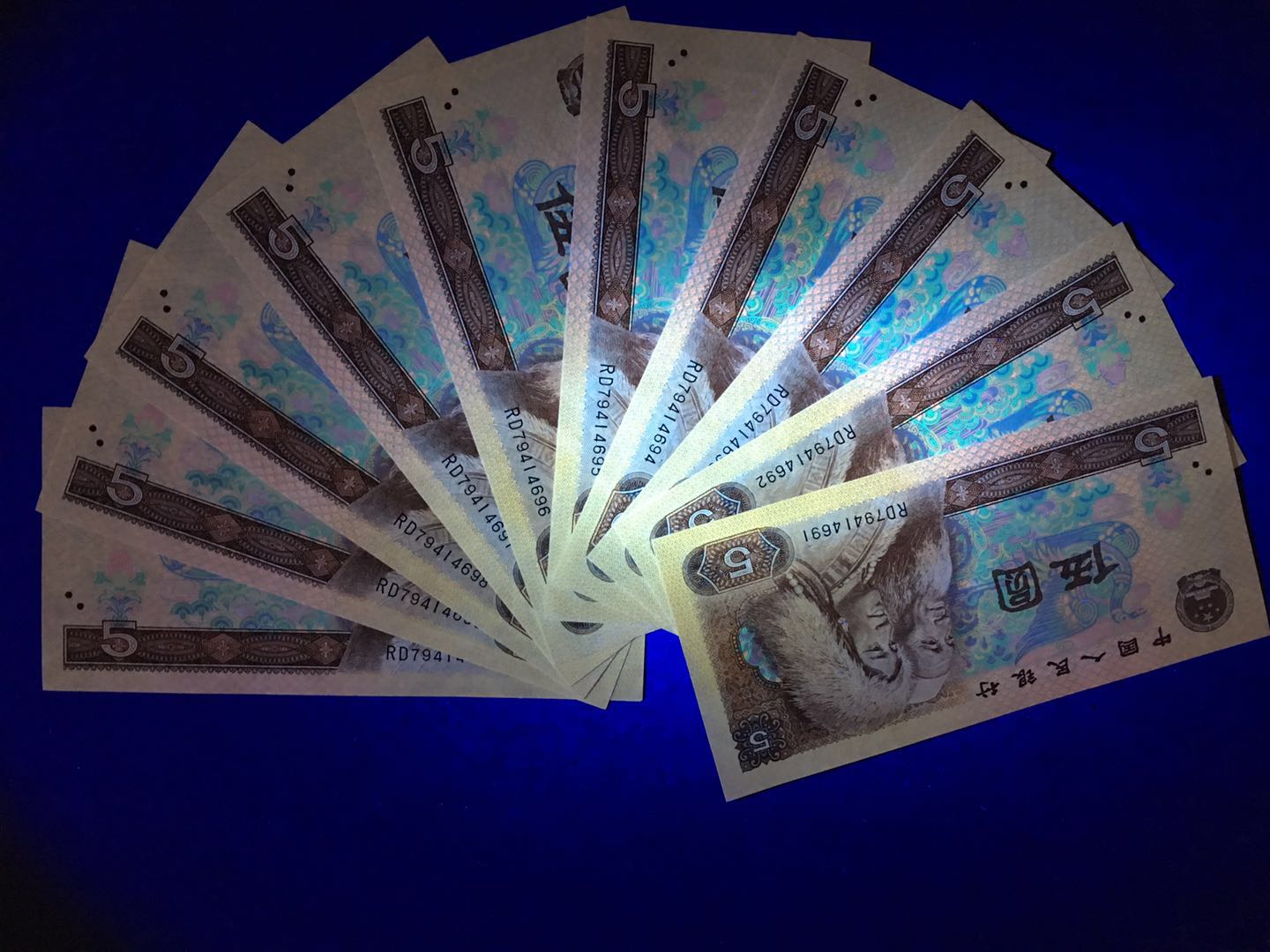 805 荧光币 五彩苍松 5元