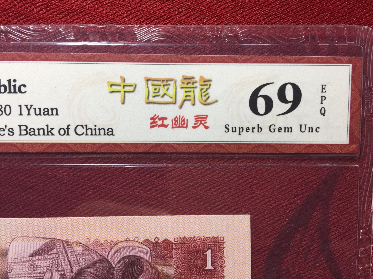 比金龙王还少的中国龙红幽灵,潜