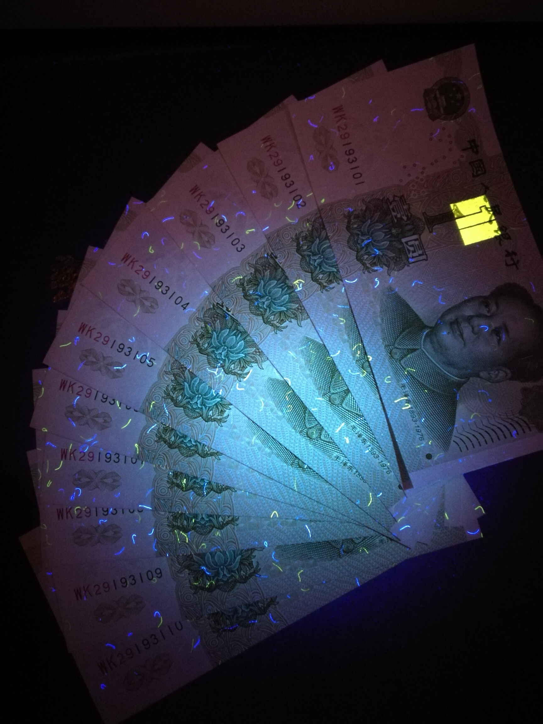 991大叶兰wk稀冠一刀尾30