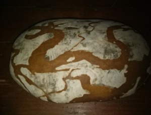 黄河奇石图案象条龙也叫龙石摆放在书房客厅