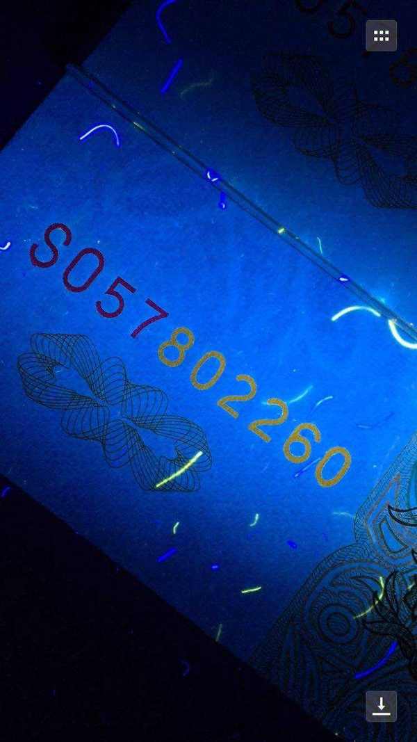 991大叶兰首发so冠强数字荧光751760组标