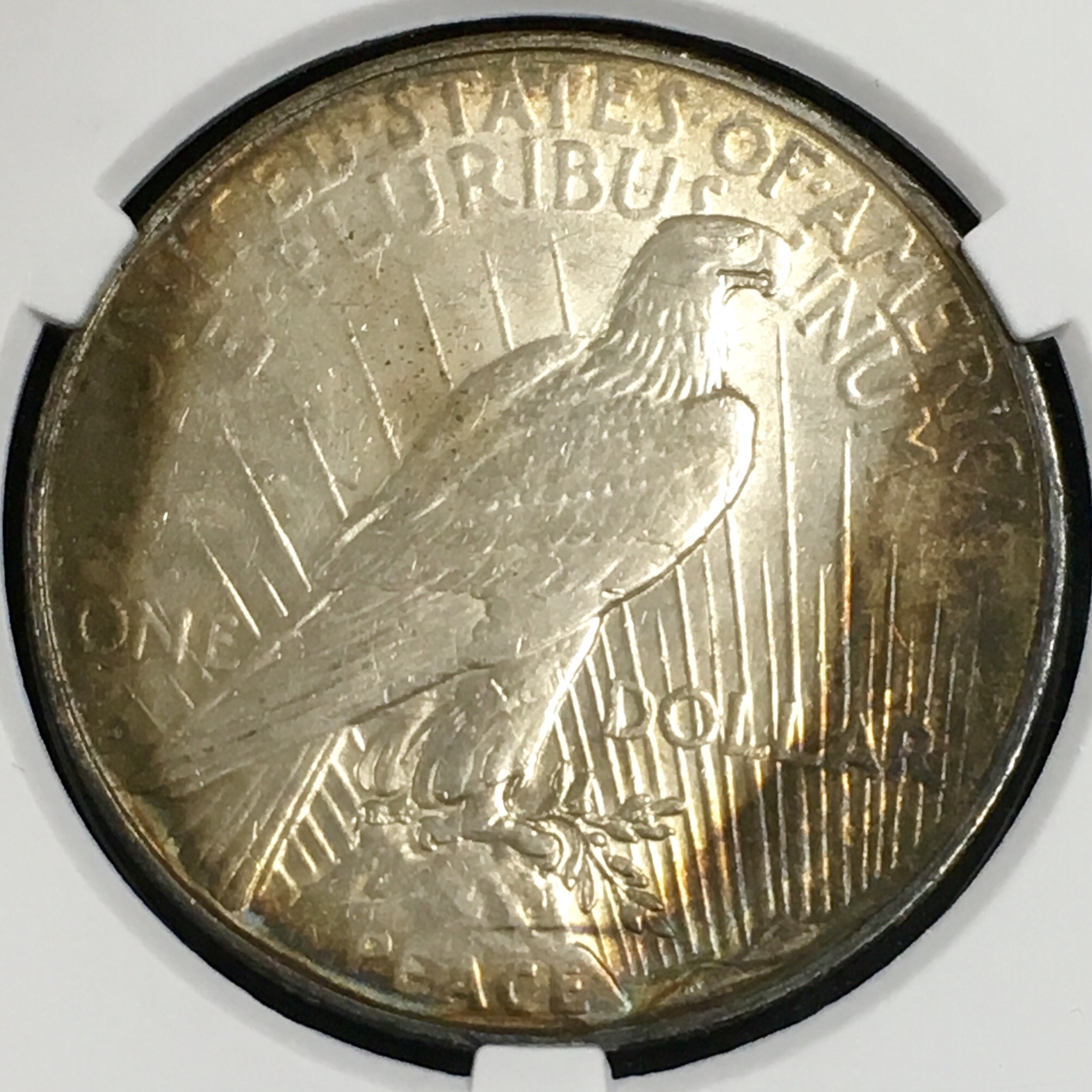 美国和平鸽壹圆银币 极美五彩底