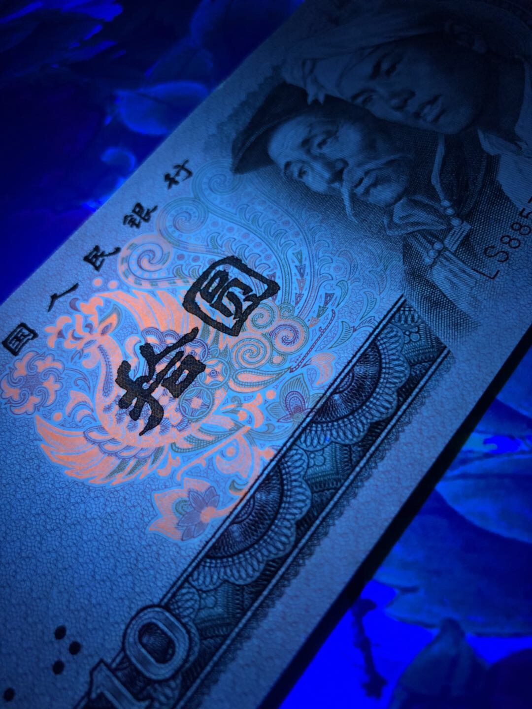 【8010浴火凤凰】惠拍近期热