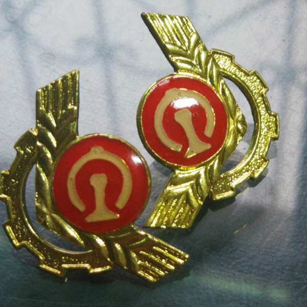 一口价5元处理全新库存原装铁路领花一对两个保真