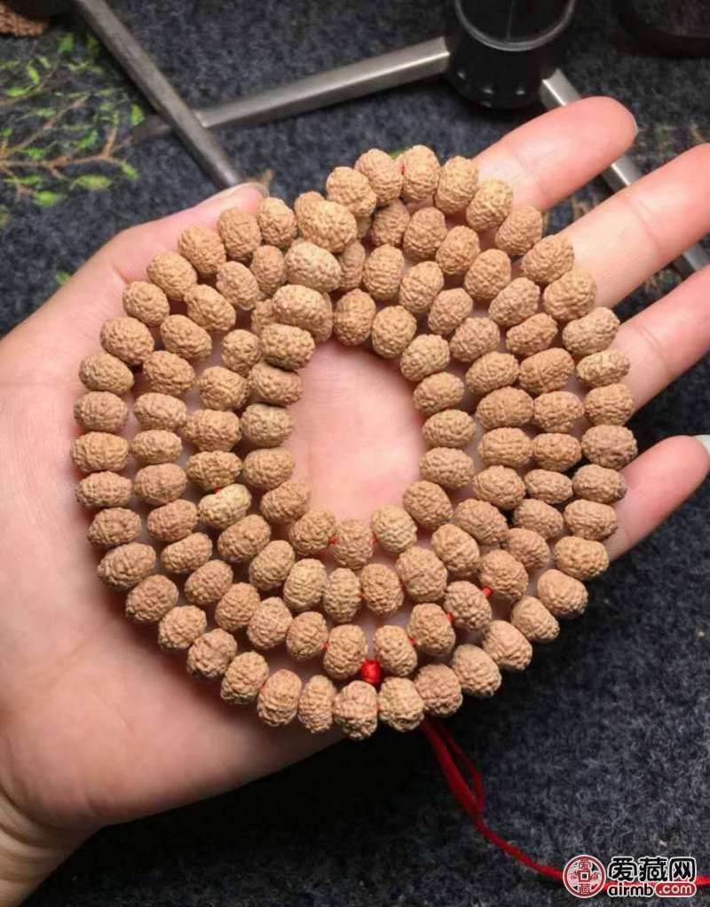 王串子,_大山谷图库