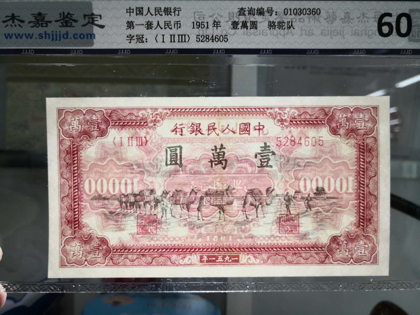 一版大珍骆驼队,杰嘉评级60分