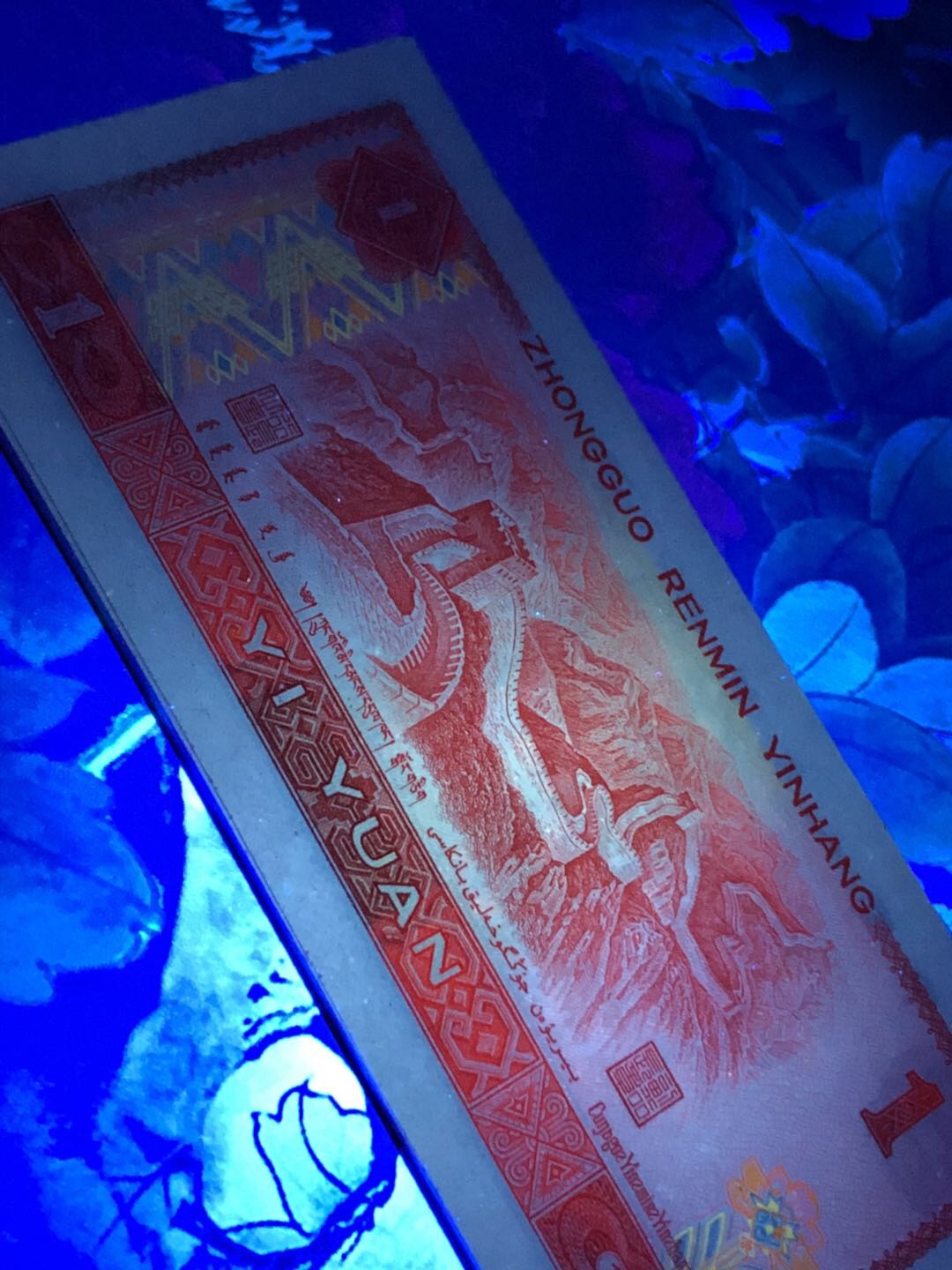 【801红幽灵】惠拍801中国