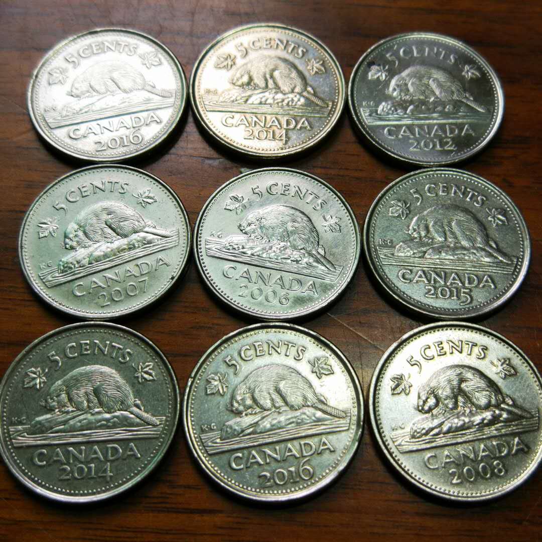 特价批发,加拿大五分动物硬币9