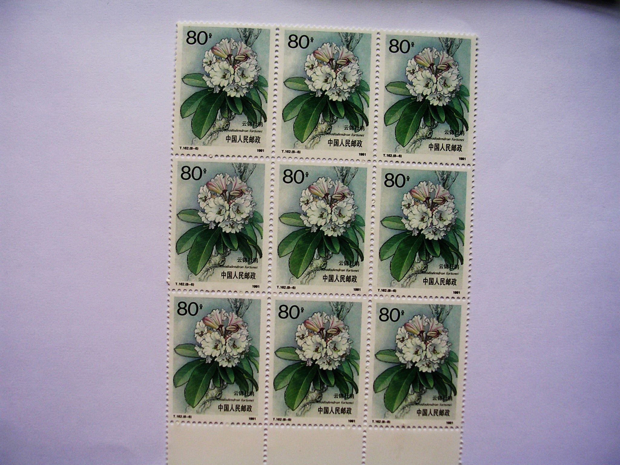 爱藏网 爱藏拍卖 邮票