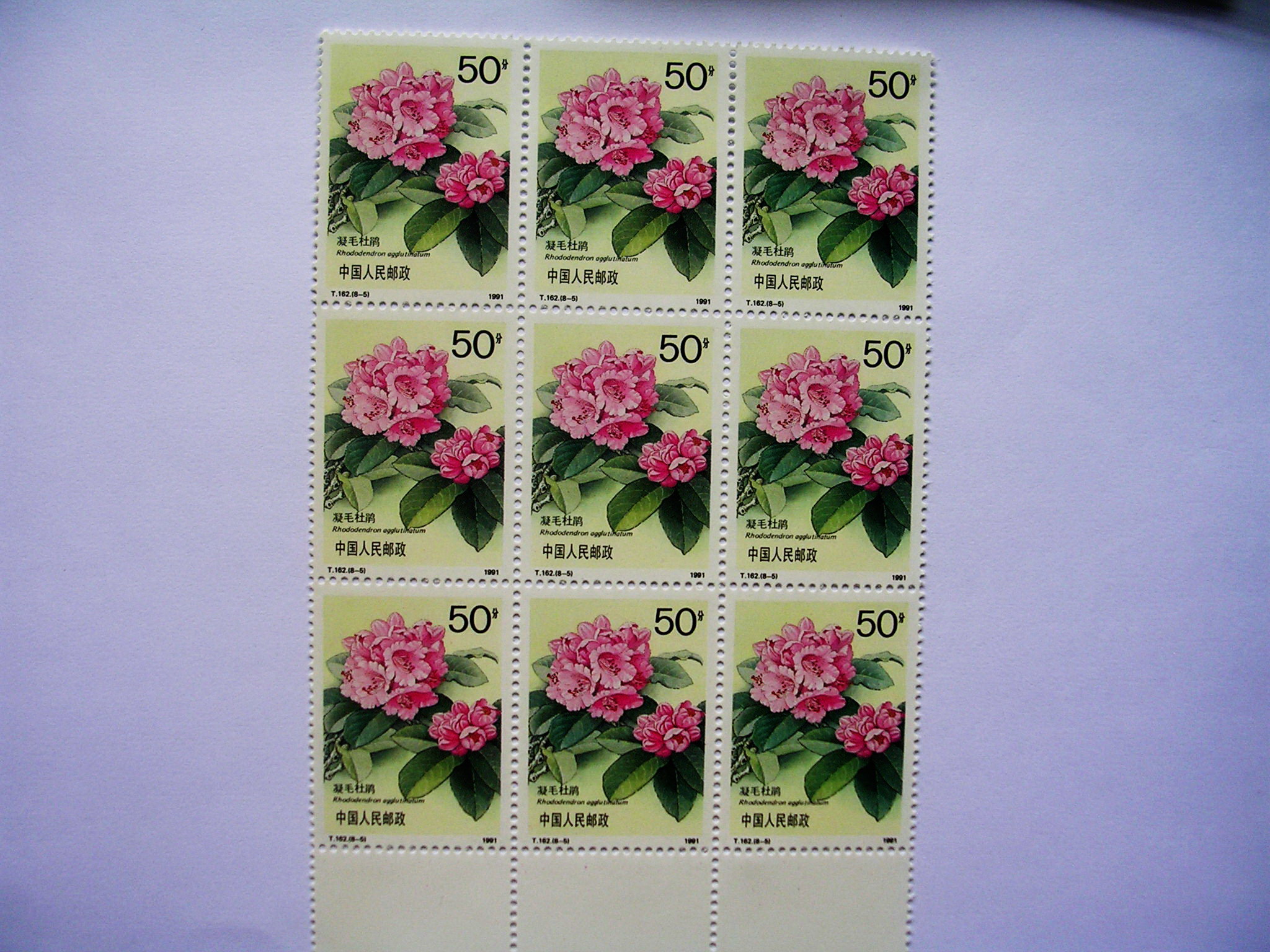 爱藏网 爱藏拍卖 邮票