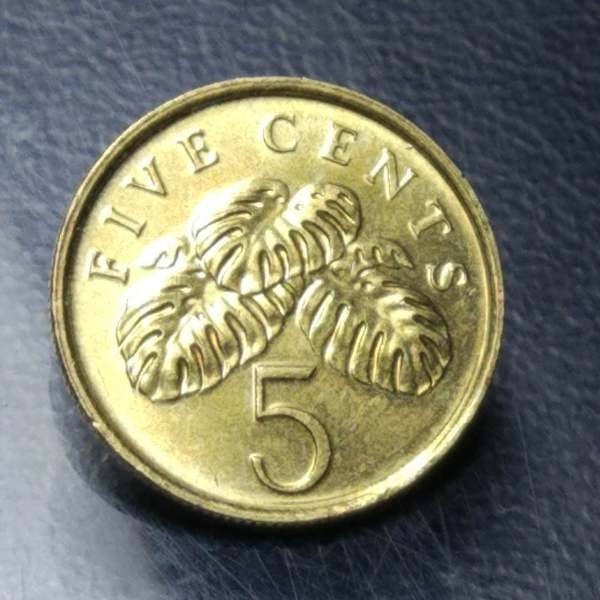 新加坡老版植物版五分硬币铜币9枚一起拍保真假一