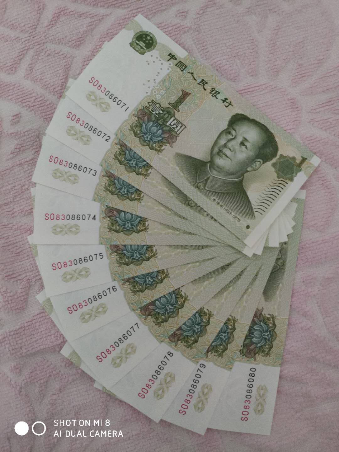 991大叶兰 数字荧光绝品标十