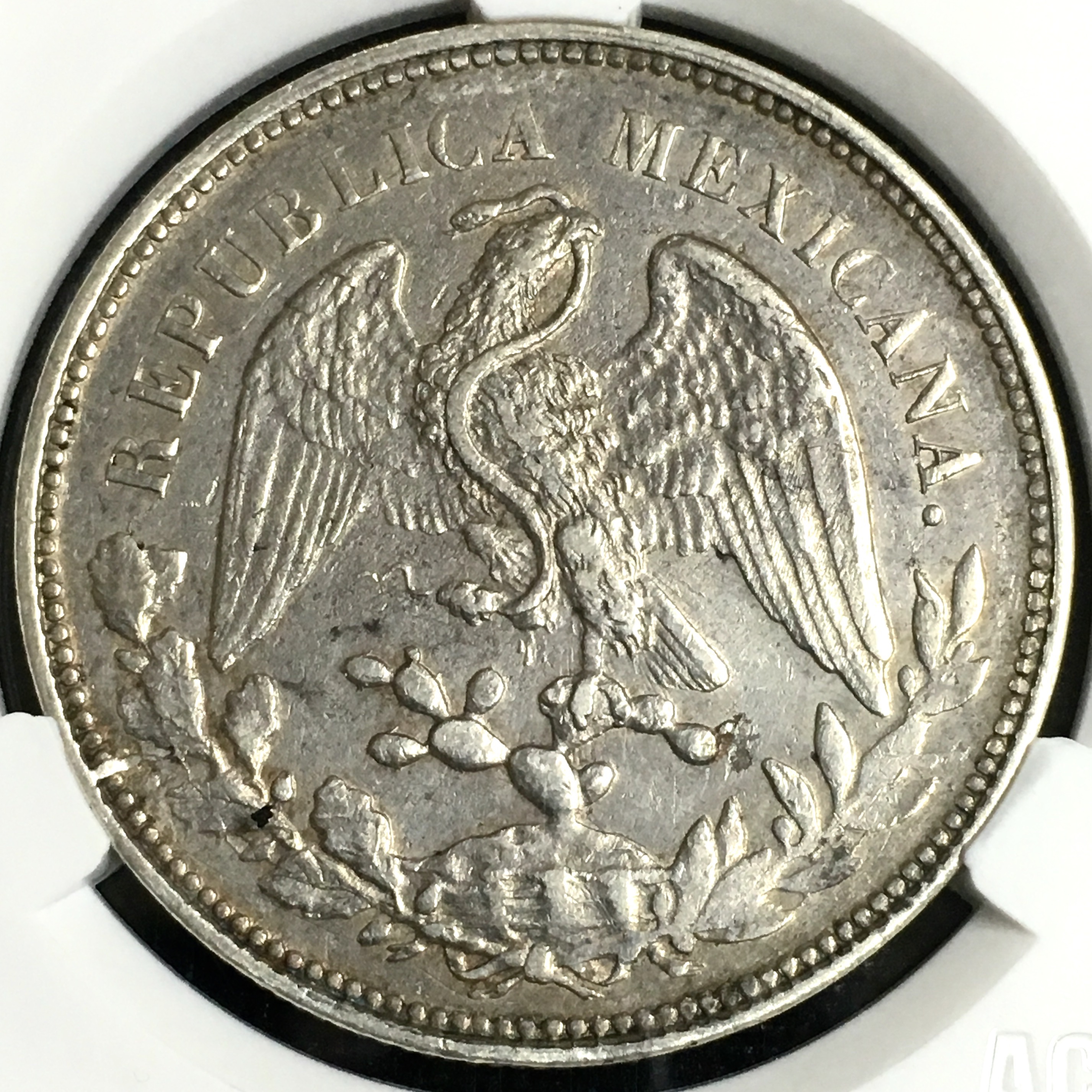 原味直边鹰洋银币 1901年造