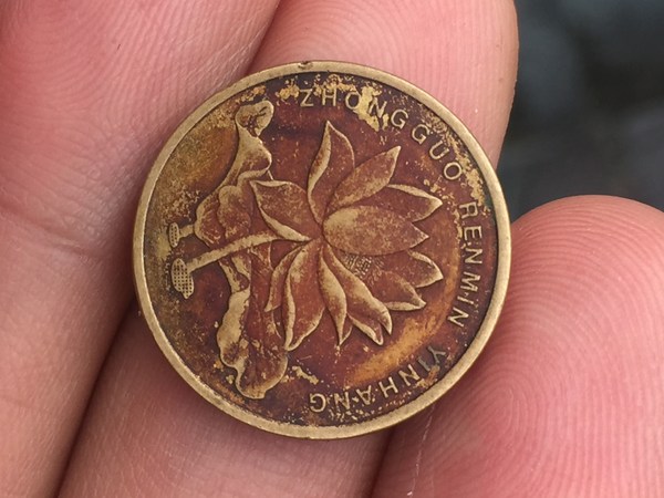 精品荷花包浆币三枚一起拍121315年份配