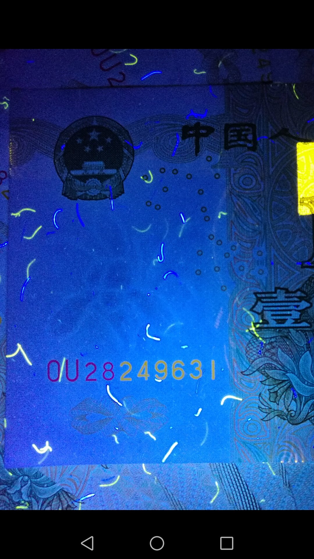 991大叶兰ou冠强数字荧光6