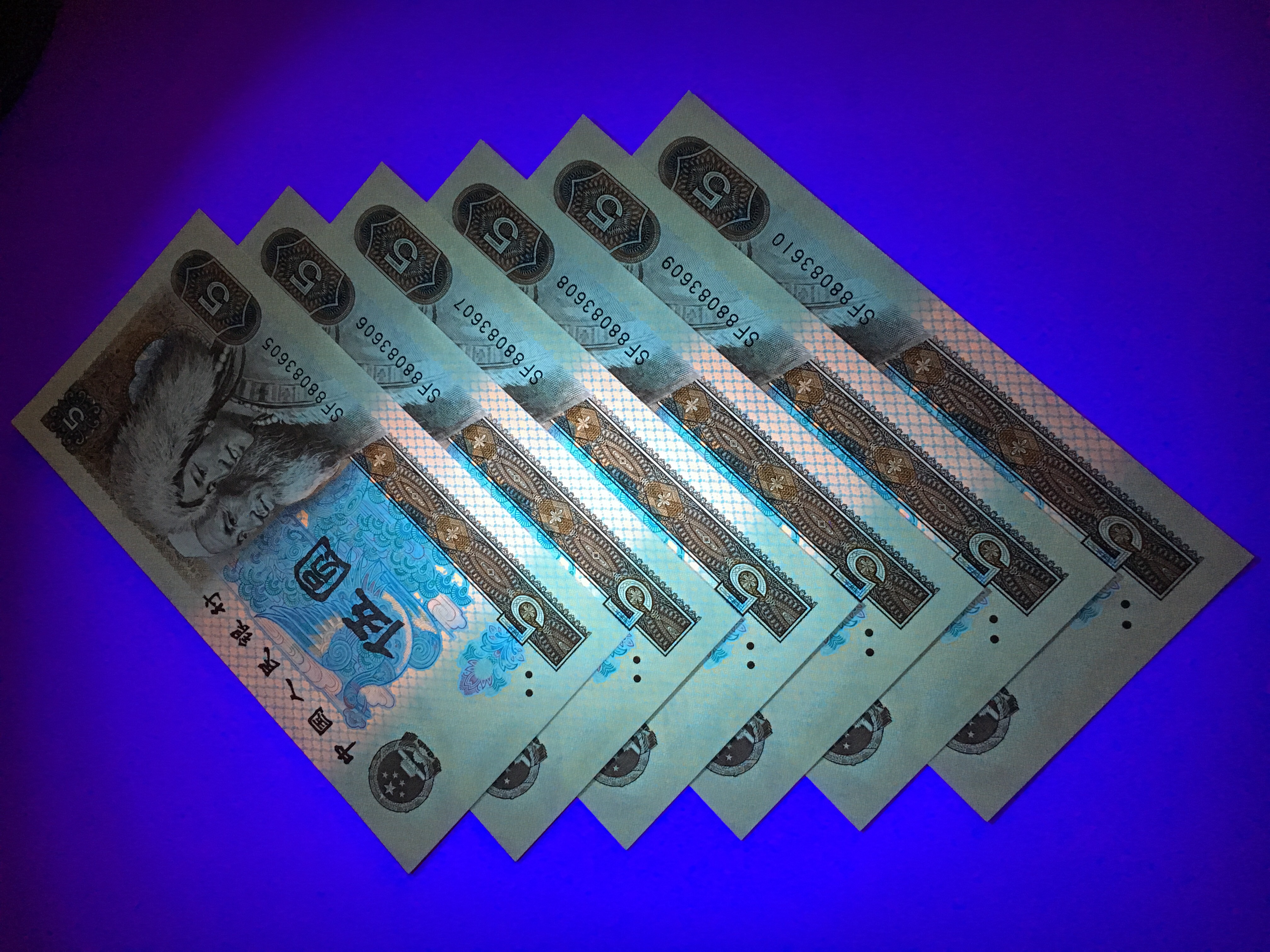 【805红光蓝鹤】惠拍近期热涨