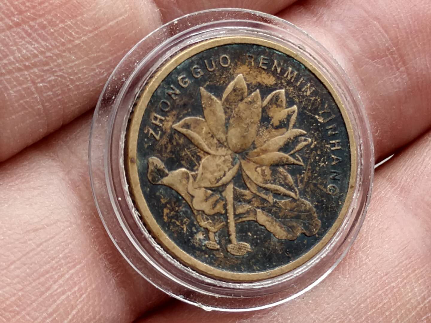 (h119)荷花2015年美品