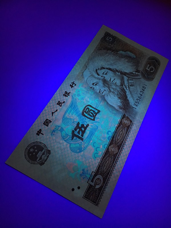 805苍松翠鹤惠拍805名贵荧光品种苍松翠鹤一