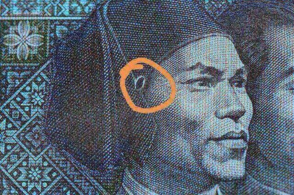 8001fy珍稀黑珍珠错版,8001fy首发冠水稻