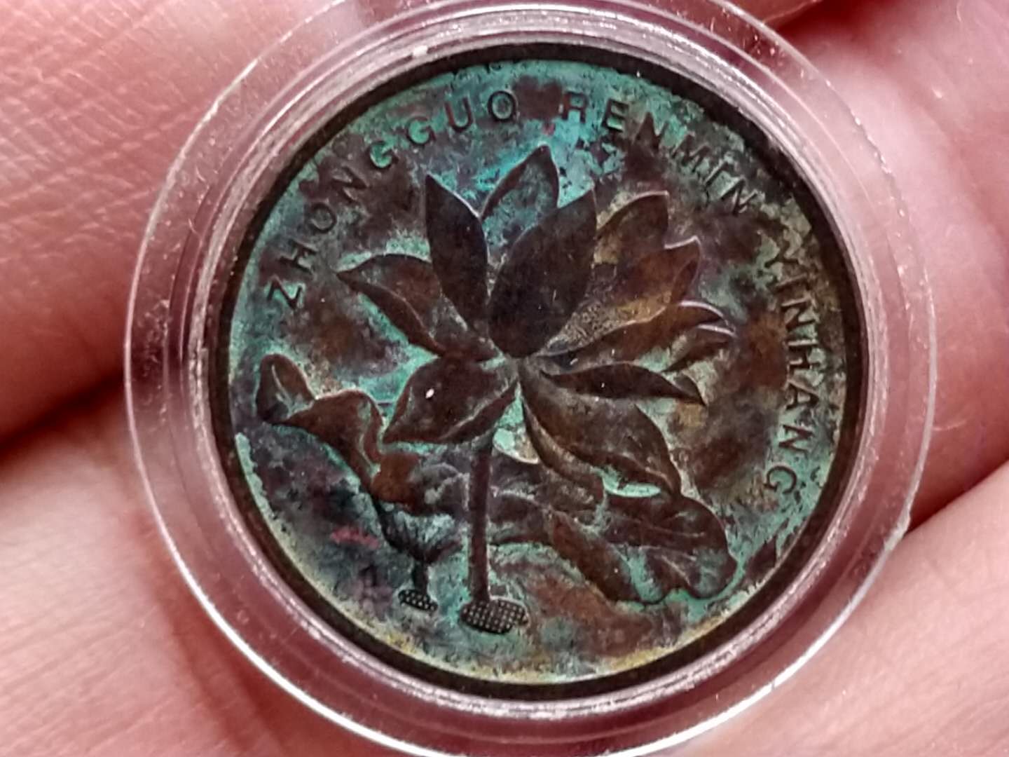 (h126)荷花2015年美品