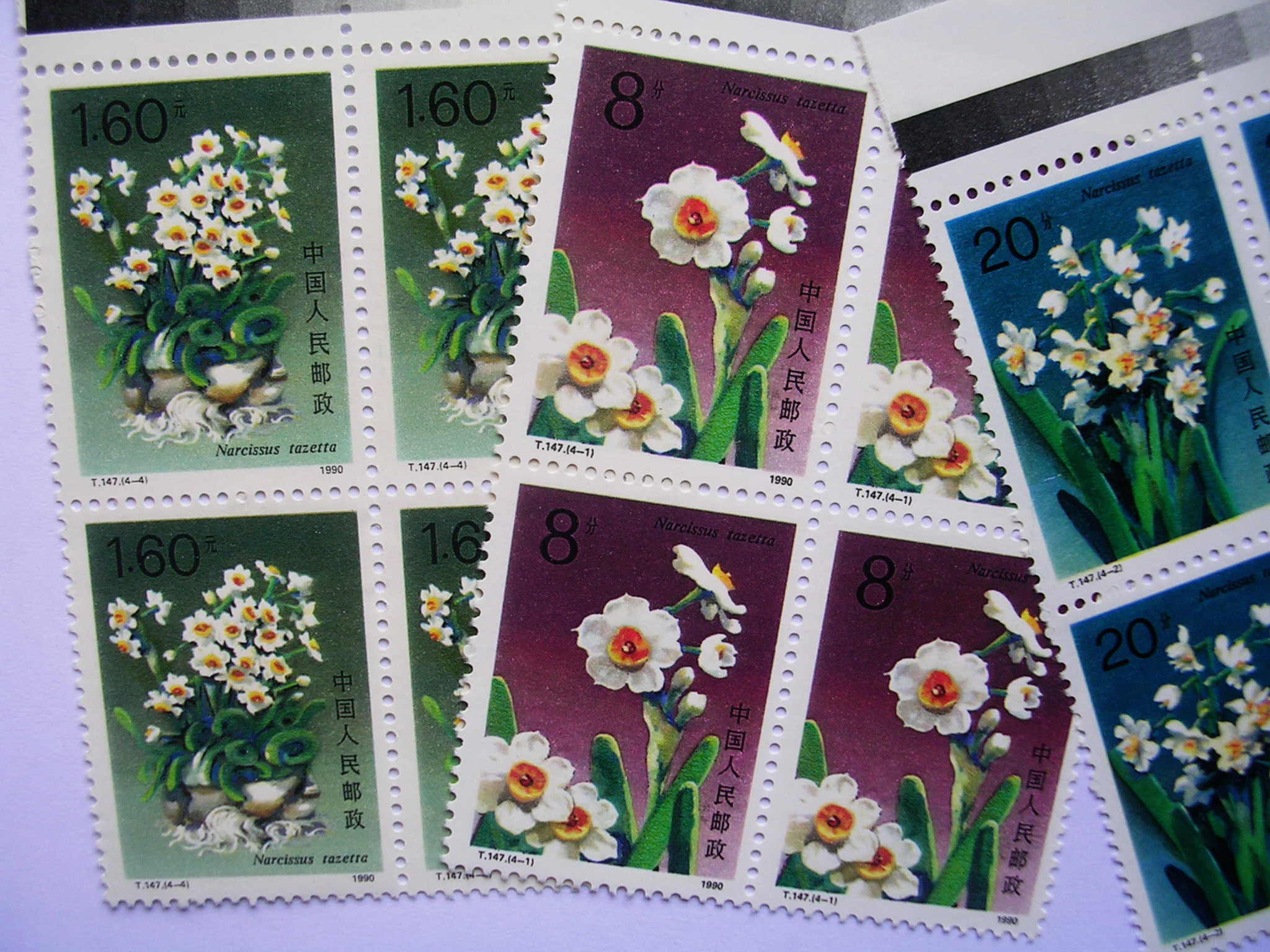 水仙花.特种邮票19