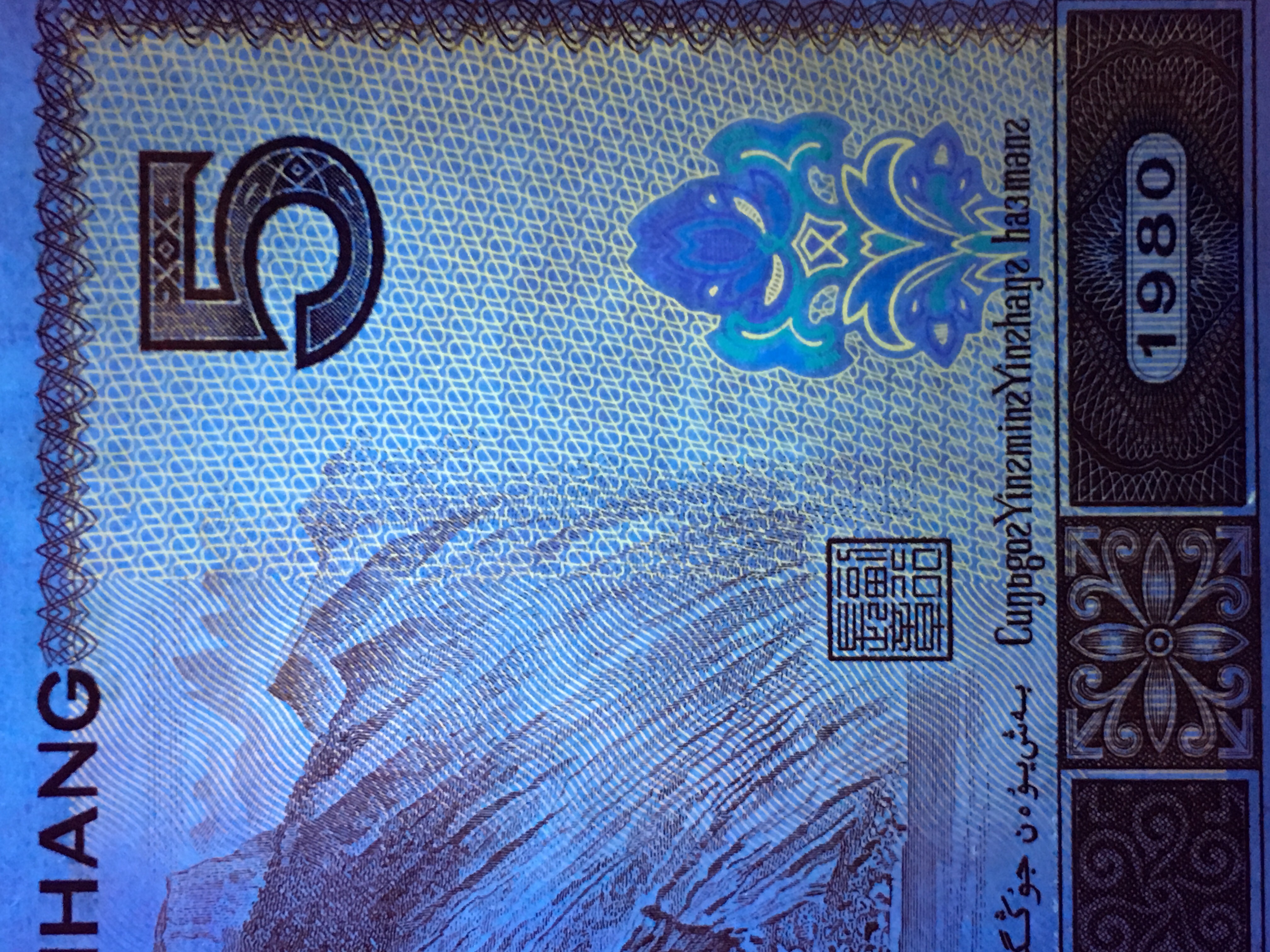 【805苍松翠鹤】惠拍805名