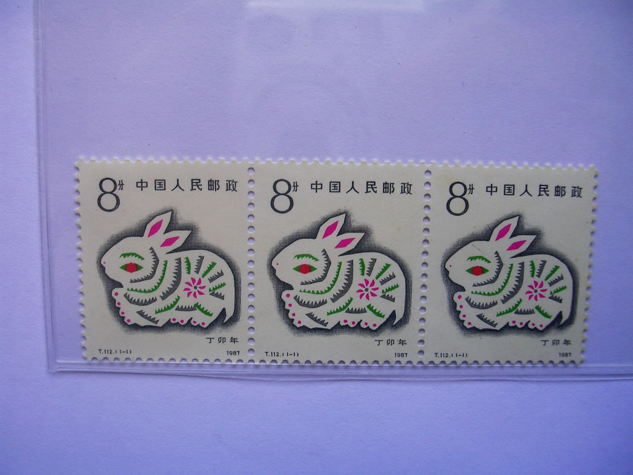 丁卯年-兔 中国志号: t11