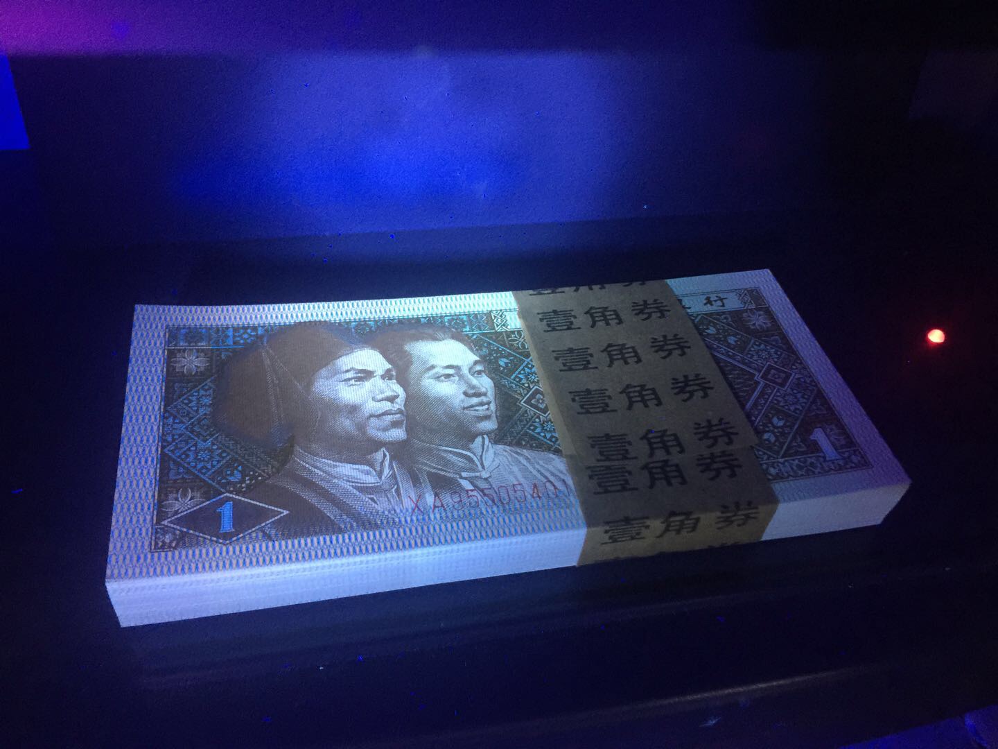 8001强荧光.背绿星星黄金甲