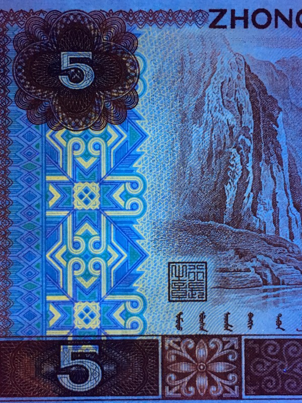 805苍松翠鹤惠拍805名贵荧光品种苍松翠鹤尾