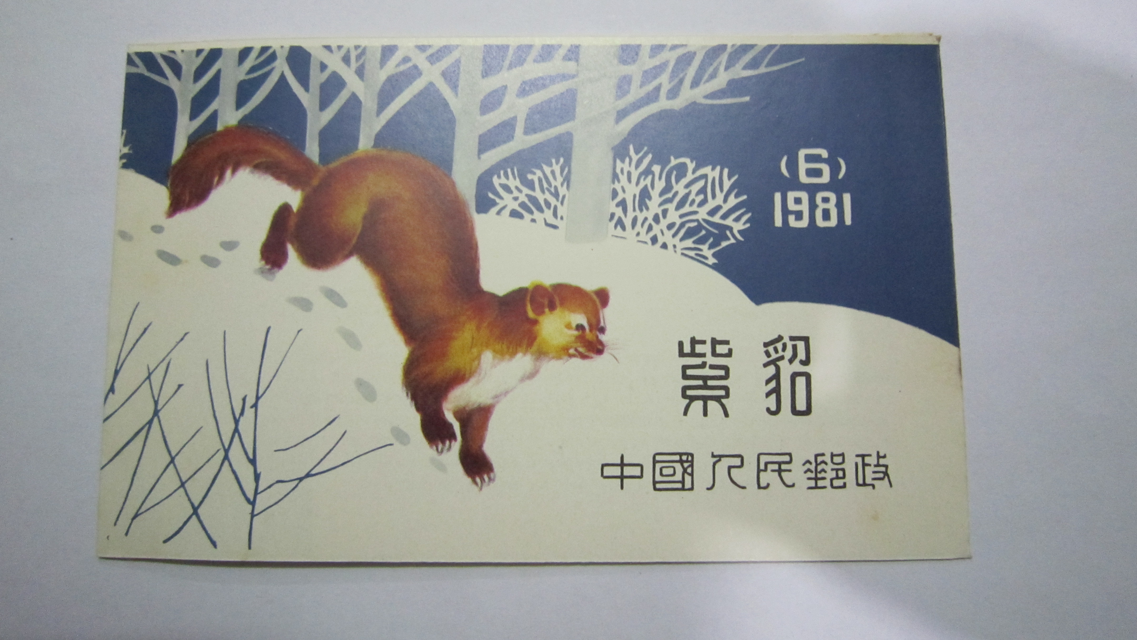 爱藏网 爱藏拍卖 邮票 古都收藏           0 分享到: sb(6)1981紫貂