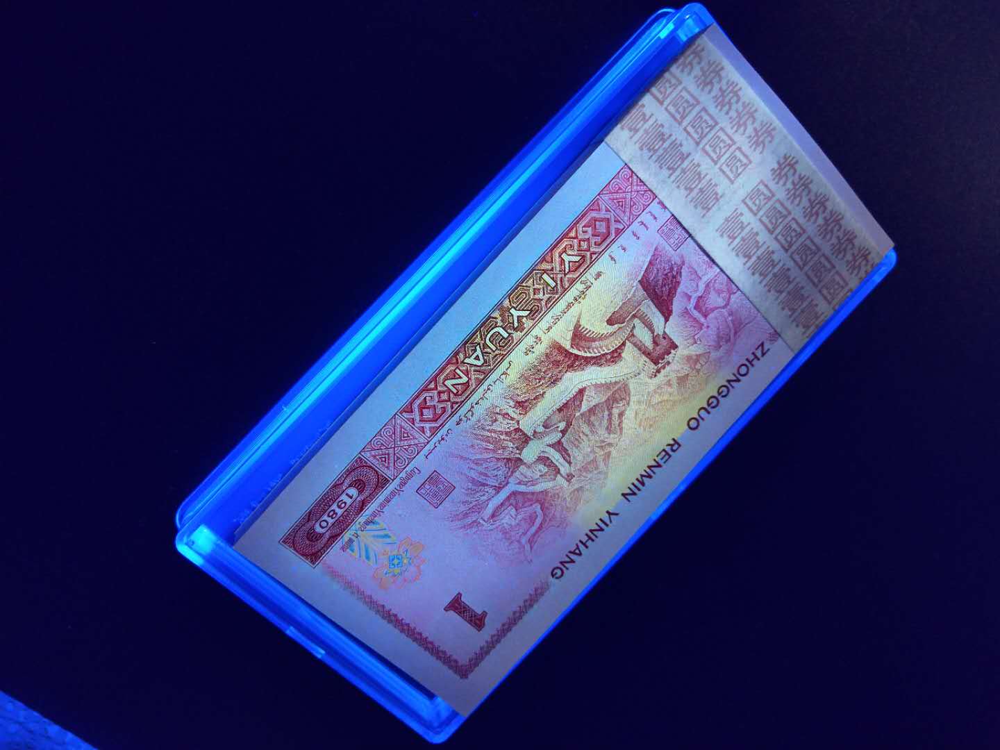 801红金龙捆拆绝品稀少冠号t