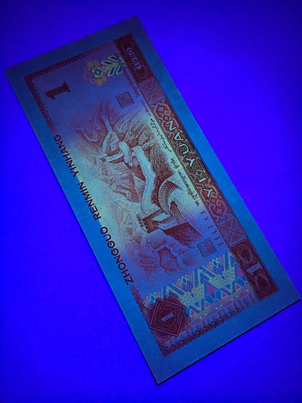 801特强荧光金龙王一枚惠拍热涨品种801金龙