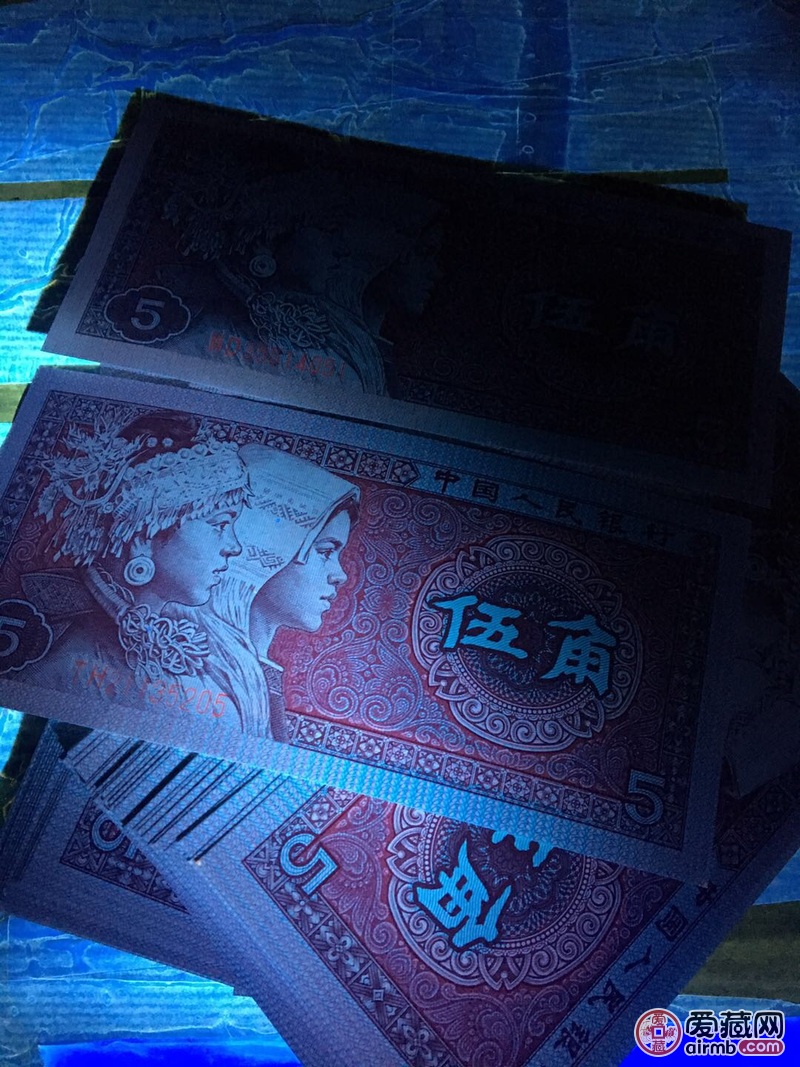 8005th冠,灰姑娘,301