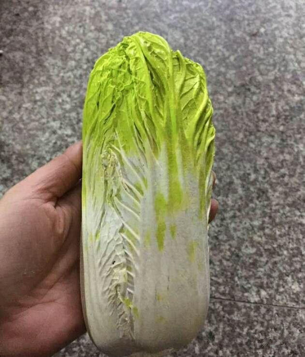 石头宴雪花石果蔬白菜寓意百财百财雕件颜色栩栩