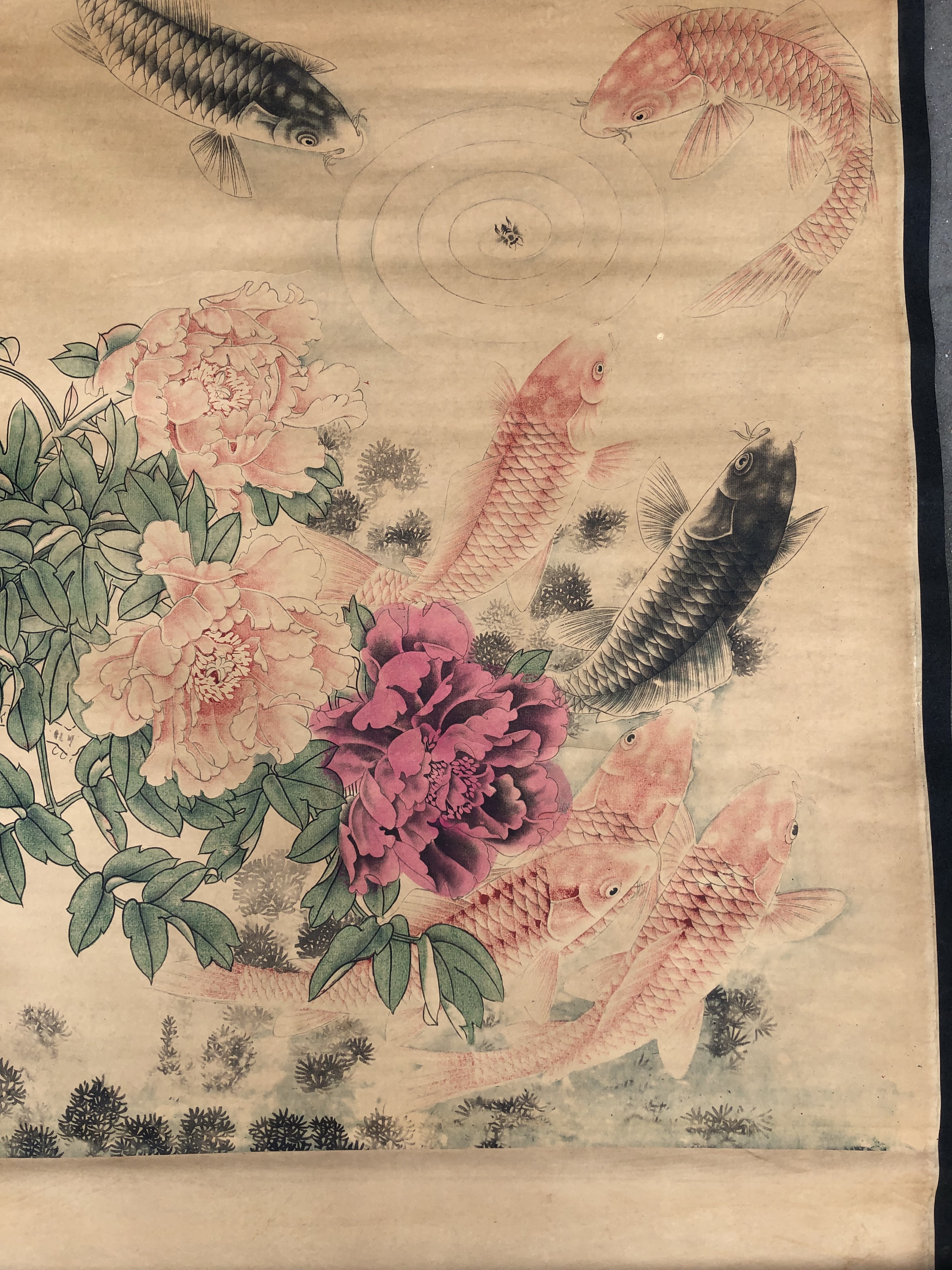 齐白石《九鱼图》〖尺寸