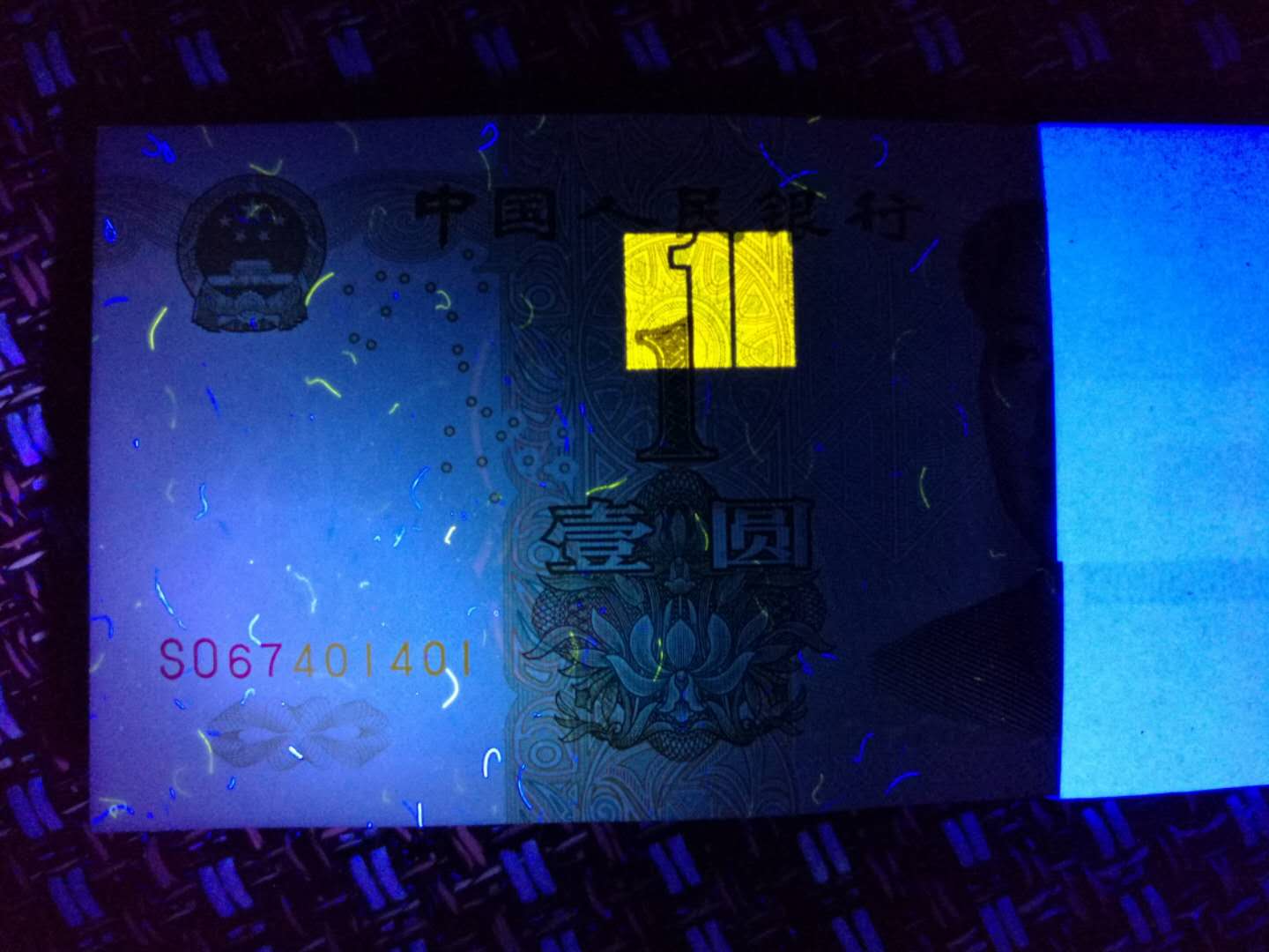 991大叶兰so冠强数字荧光4