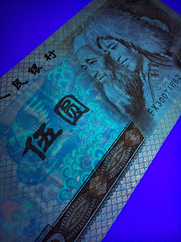 【805苍松翠鹤】惠拍805名贵荧光品种苍松翠鹤一