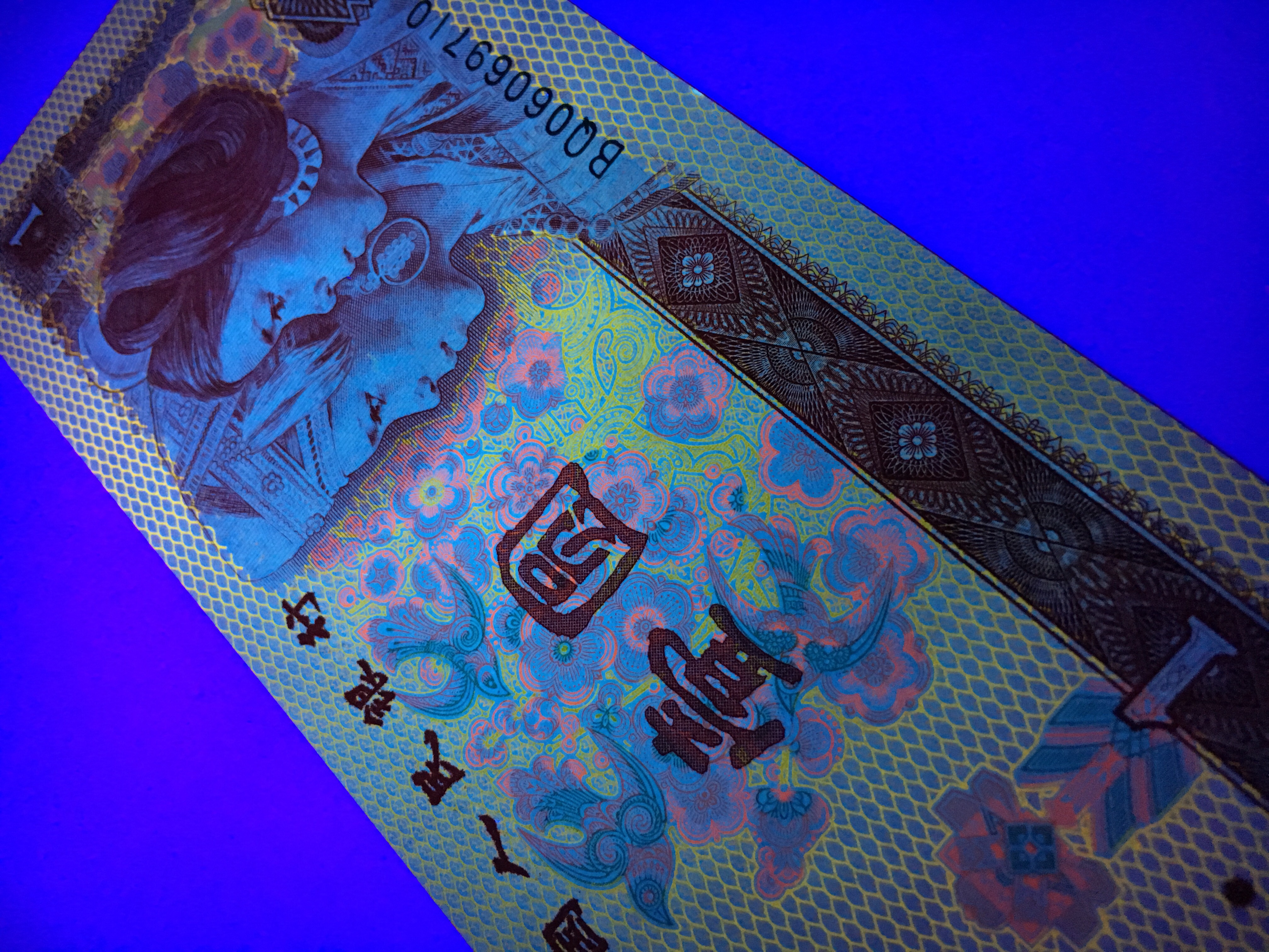 【801金龙王强荧光】惠拍80