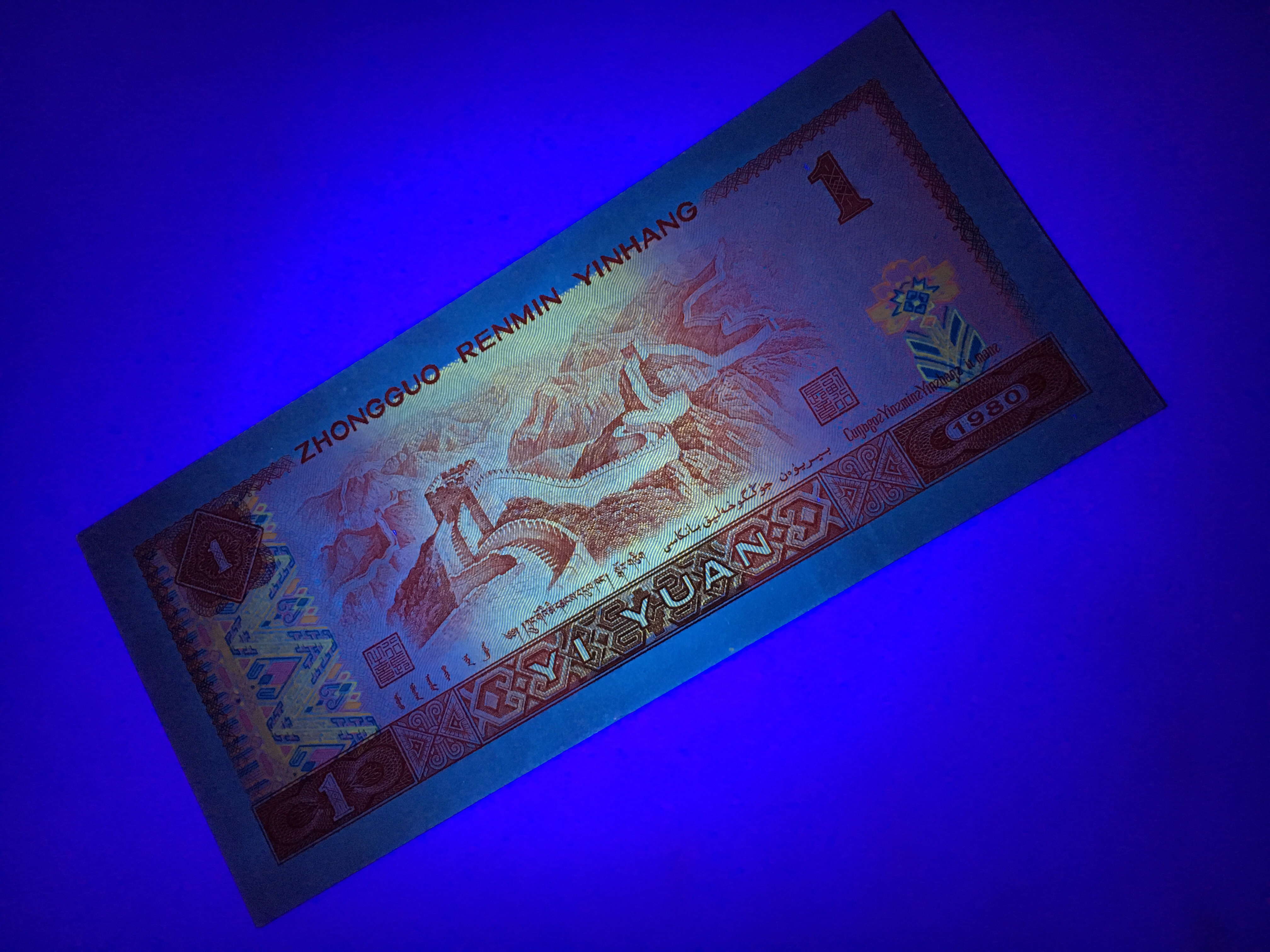 【801金龙王特强荧光】惠拍8