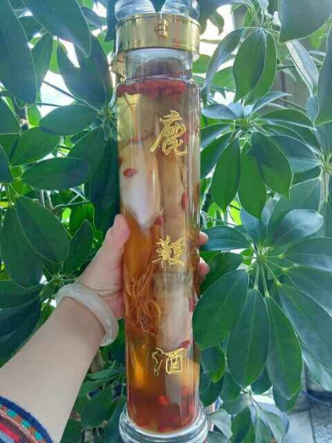 鹿鞭大补酒890元每瓶二斤装鹿鞭人参枸杞