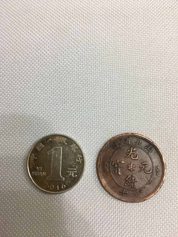 湖北光绪元宝一枚当十中心六瓣花背水龙保真保