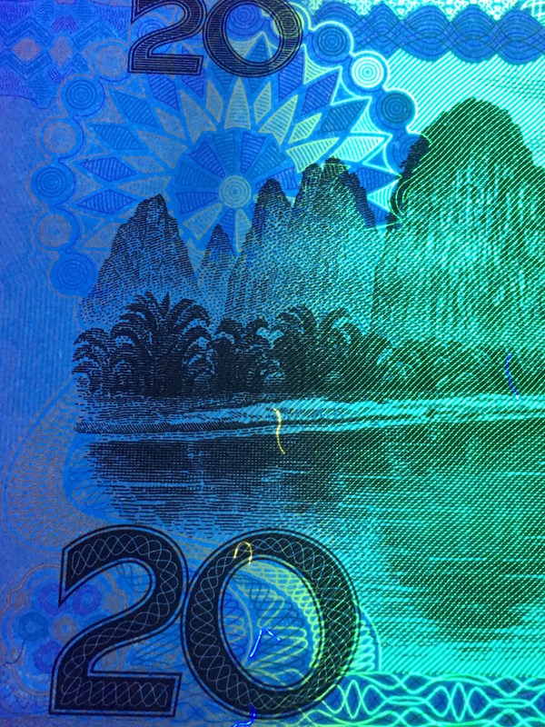 9920黄金叶标十惠拍近期火热品种9920黄金