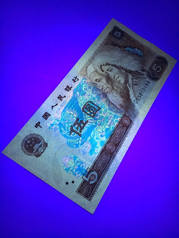 苍松翠鹤之五彩苍松惠拍805名贵荧光品种苍松翠