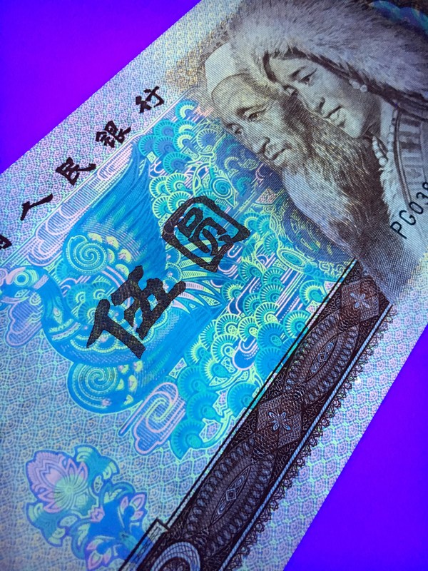 苍松翠鹤之五彩苍松惠拍805名贵荧光品种苍松翠