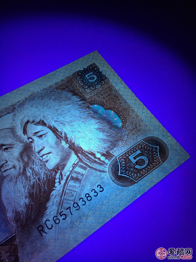 【五彩苍松】惠拍805名贵荧光