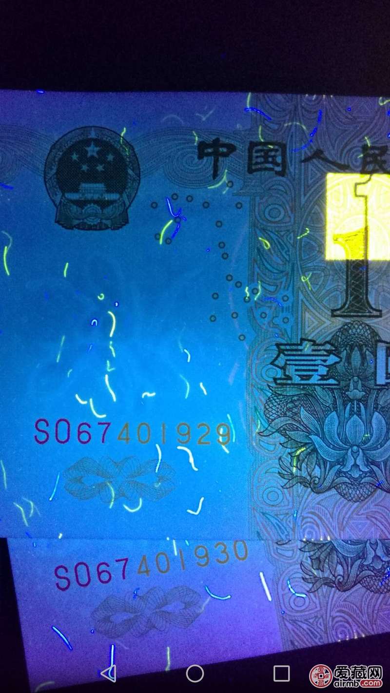 991大叶兰so冠强数字荧光