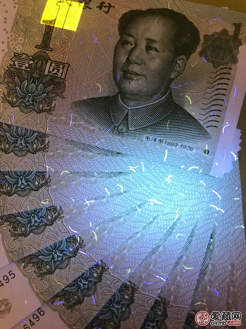 991大叶兰dm稀冠强数字荧光